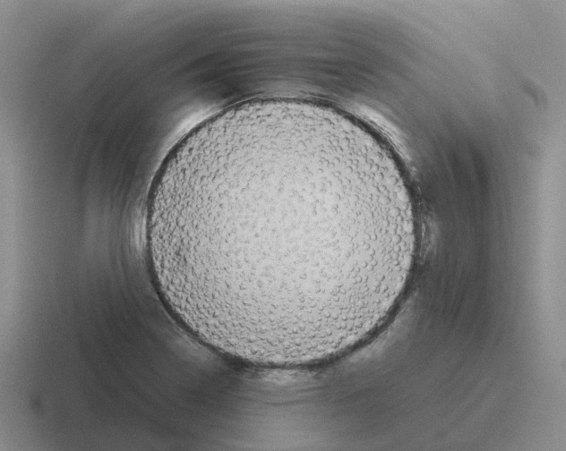 X0000116101322201001040944