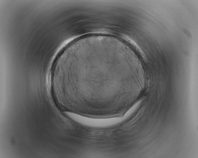 X0000116101323201001040944