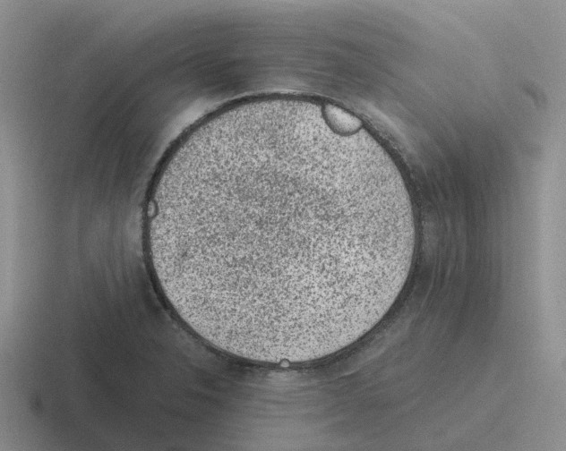 X0000116101326201001040944