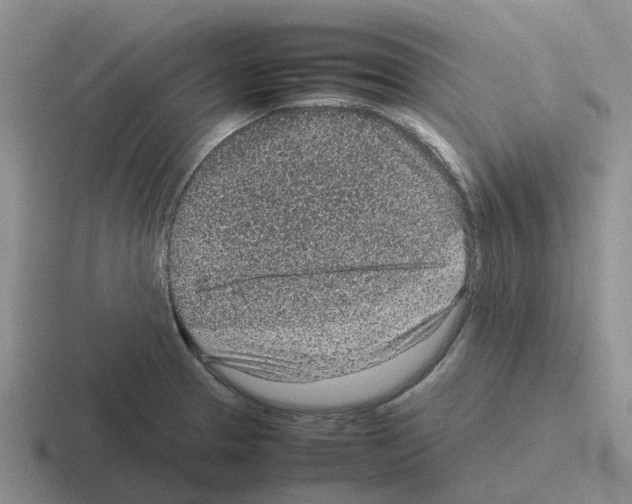 X0000116101329201001040944