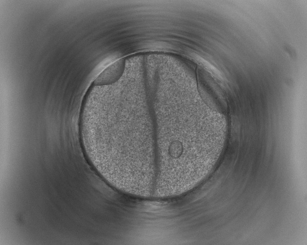 X0000116101330201001040944