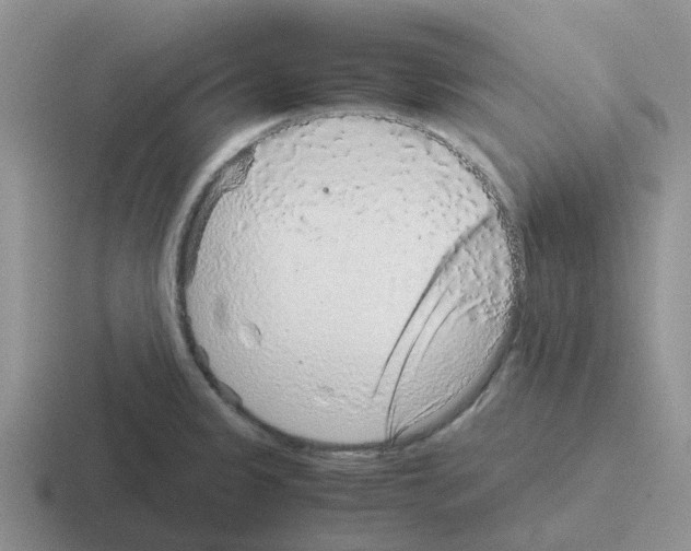 X0000116101333201001040944