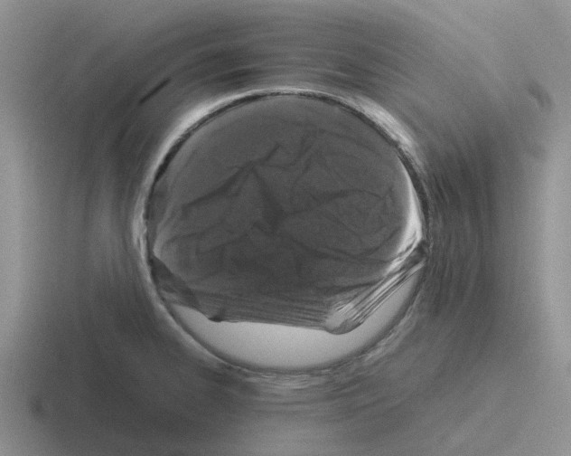 X0000116101334201001040944