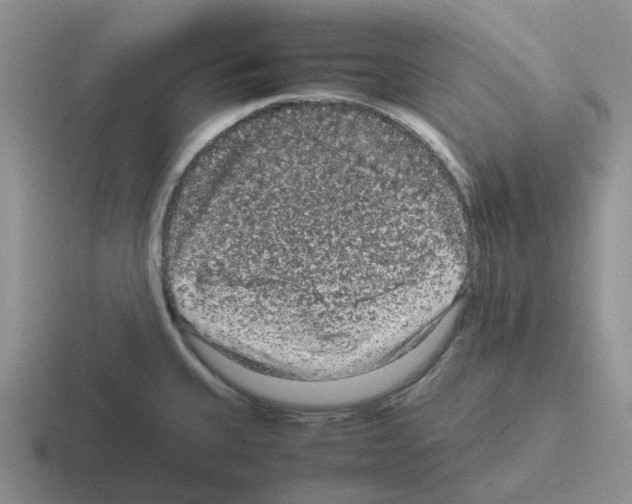 X0000116101335201001040944