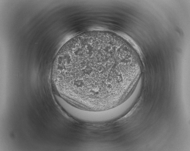 X0000116101337201001040944