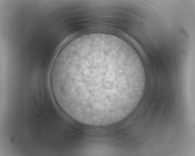 X0000116101338201001040944