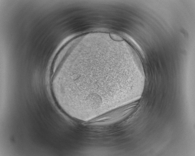 X0000116101339201001040944