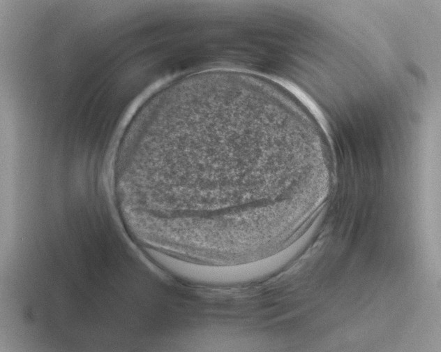 X0000116101341201001040944