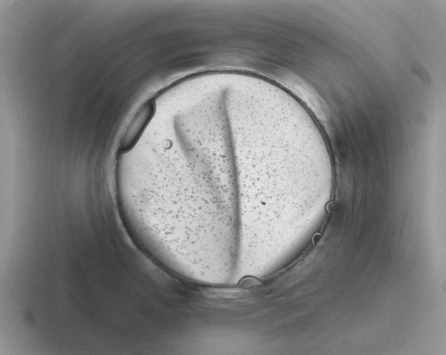 X0000116101342201001040944