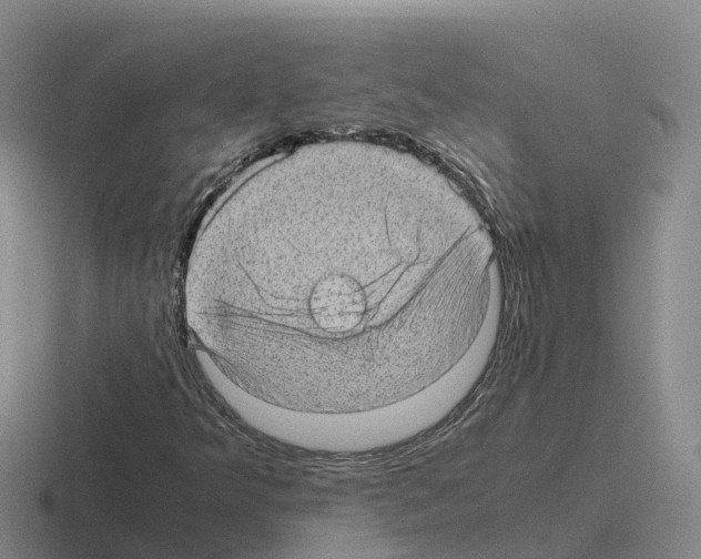 X0000116101349201001040944