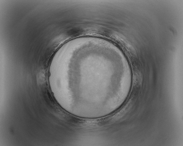 X0000116101353201001040944