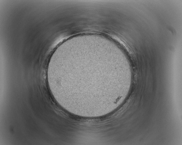 X0000116101355201001040944