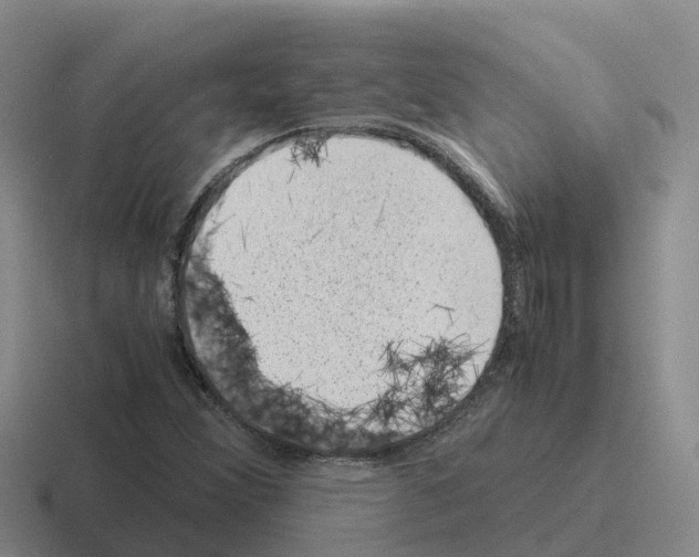 X0000116101356201001040944