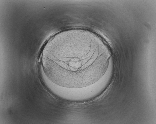 X0000116101357201001040944