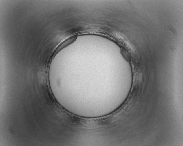 X0000116101361201001040944