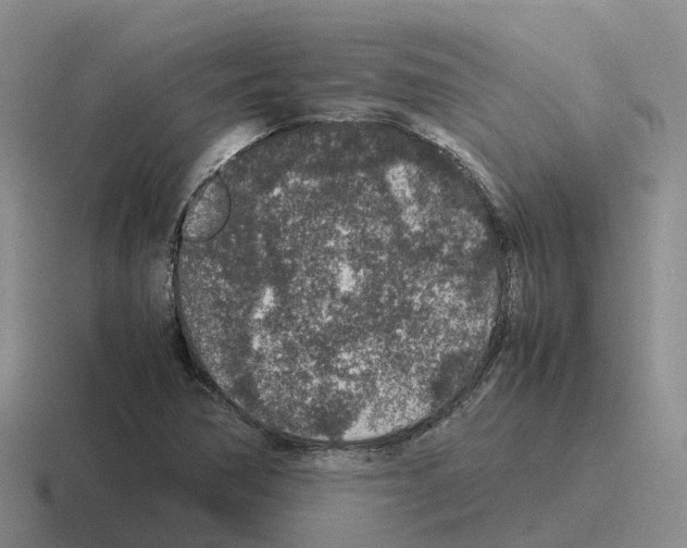 X0000116101362201001040943