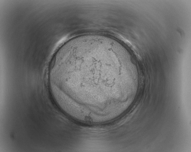 X0000116101365201001040943