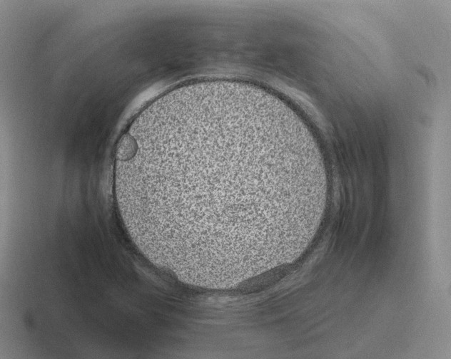 X0000116101366201001040943