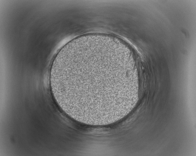 X0000116101367201001040943