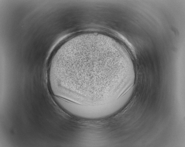 X0000116101368201001040943