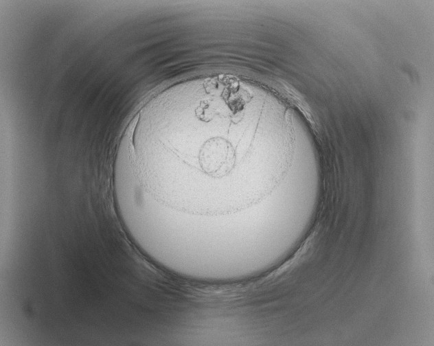 X0000116101369201001040943