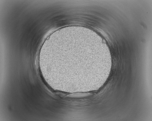 X0000116101371201001040943