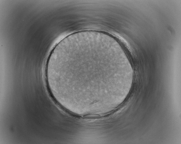 X0000116101373201001040943