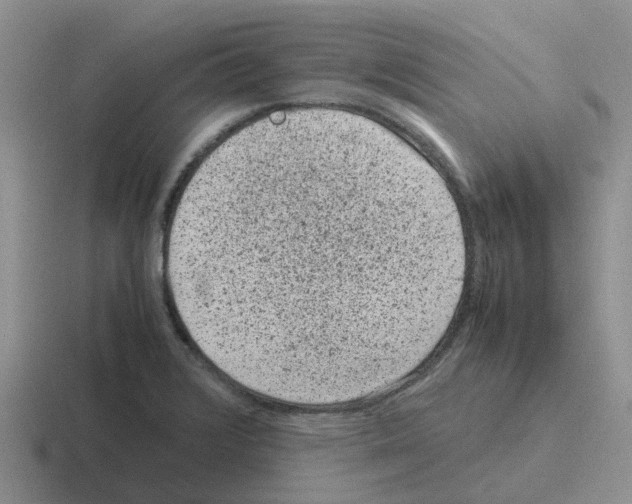 X0000116101376201001040943