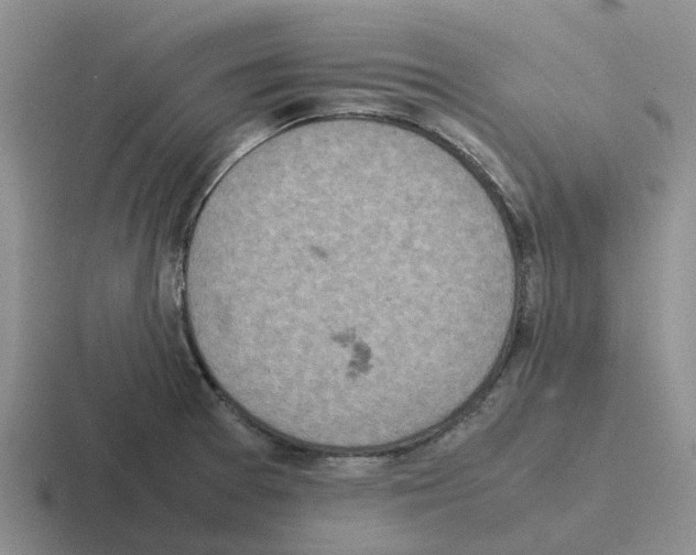 X0000116101377201001040943