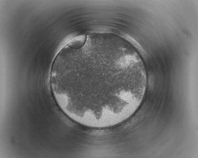 X0000116101378201001040943