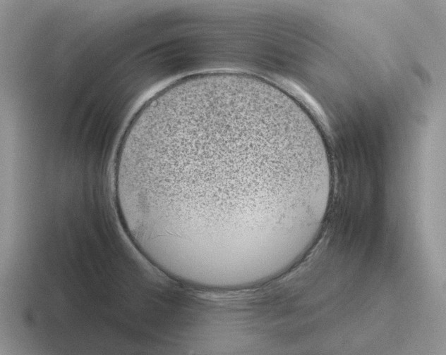 X0000116101380201001040943