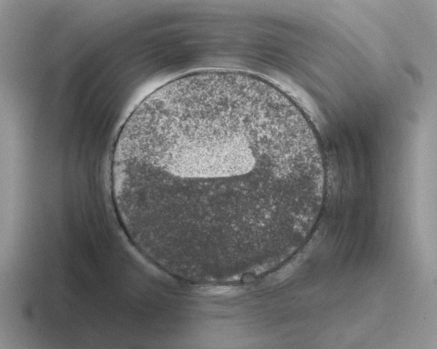 X0000116101382201001040943