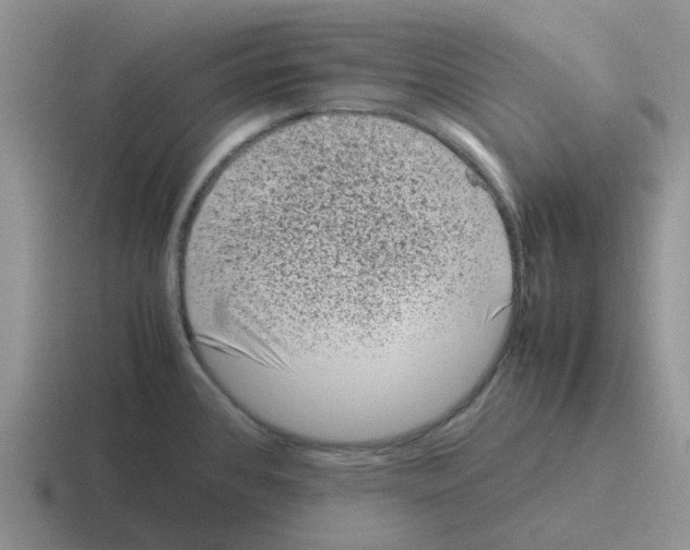 X0000116101384201001040943