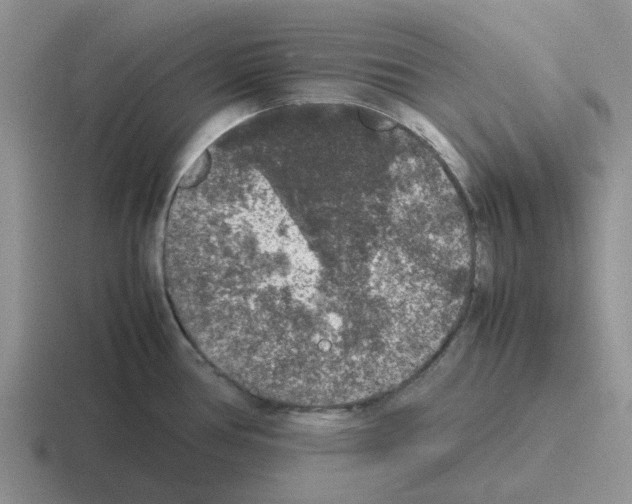 X0000116101386201001040943