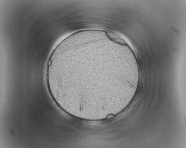 X0000116101387201001040943