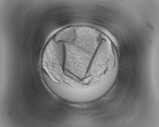 X0000116101388201001040943