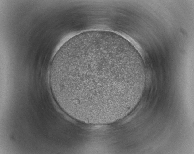 X0000116101390201001040943