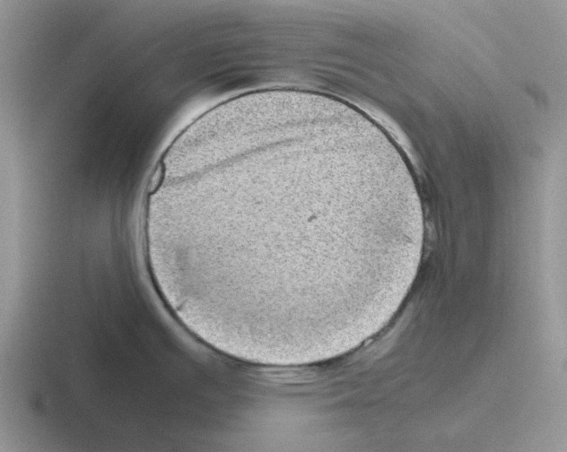 X0000116101391201001040943