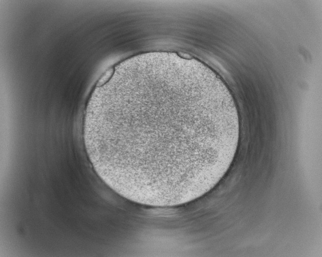 X0000116101392201001040943