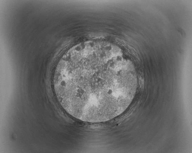 X0000116101393201001040943