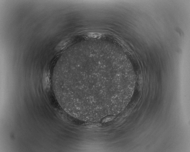 X0000116101394201001040943