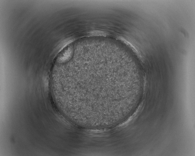 X0000116101401201001040943