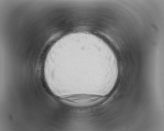 X0000116101402201001040943