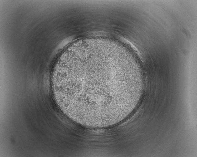 X0000116101403201001040943