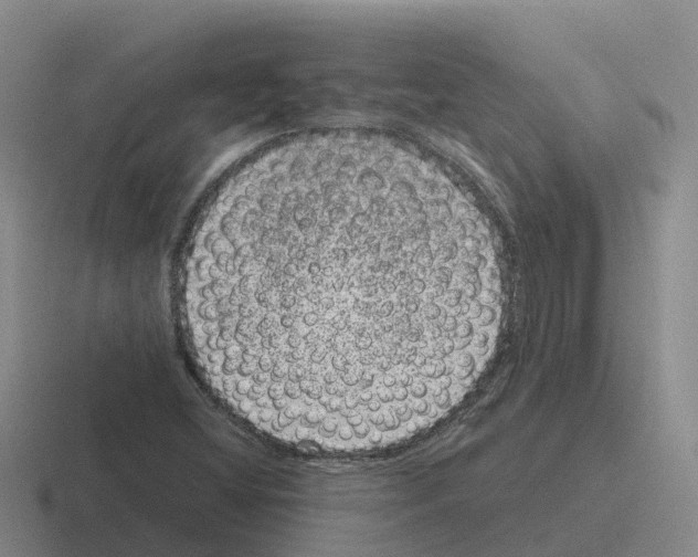 X0000116101404201001040943