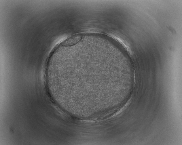 X0000116101405201001040943