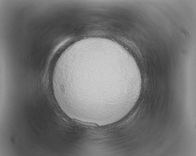 X0000116101406201001040943