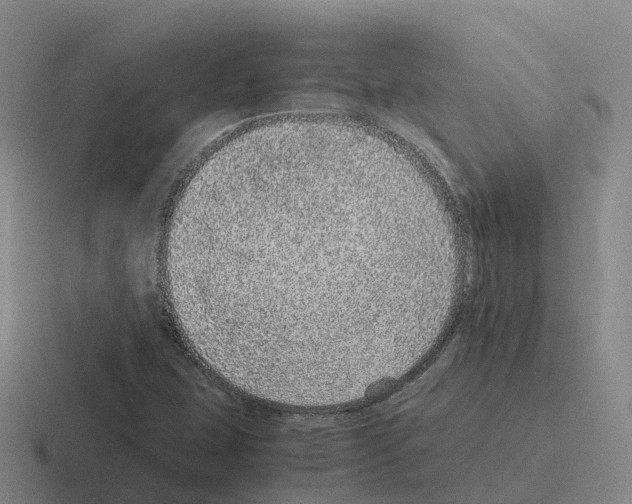 X0000116101407201001040943