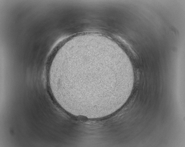 X0000116101408201001040943