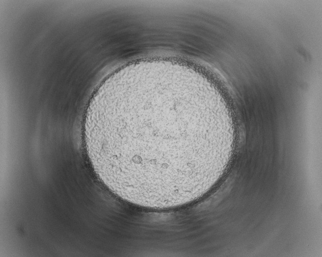 X0000116101409201001040943